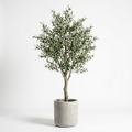 Olivier Artificiel 150cm Pot Béton